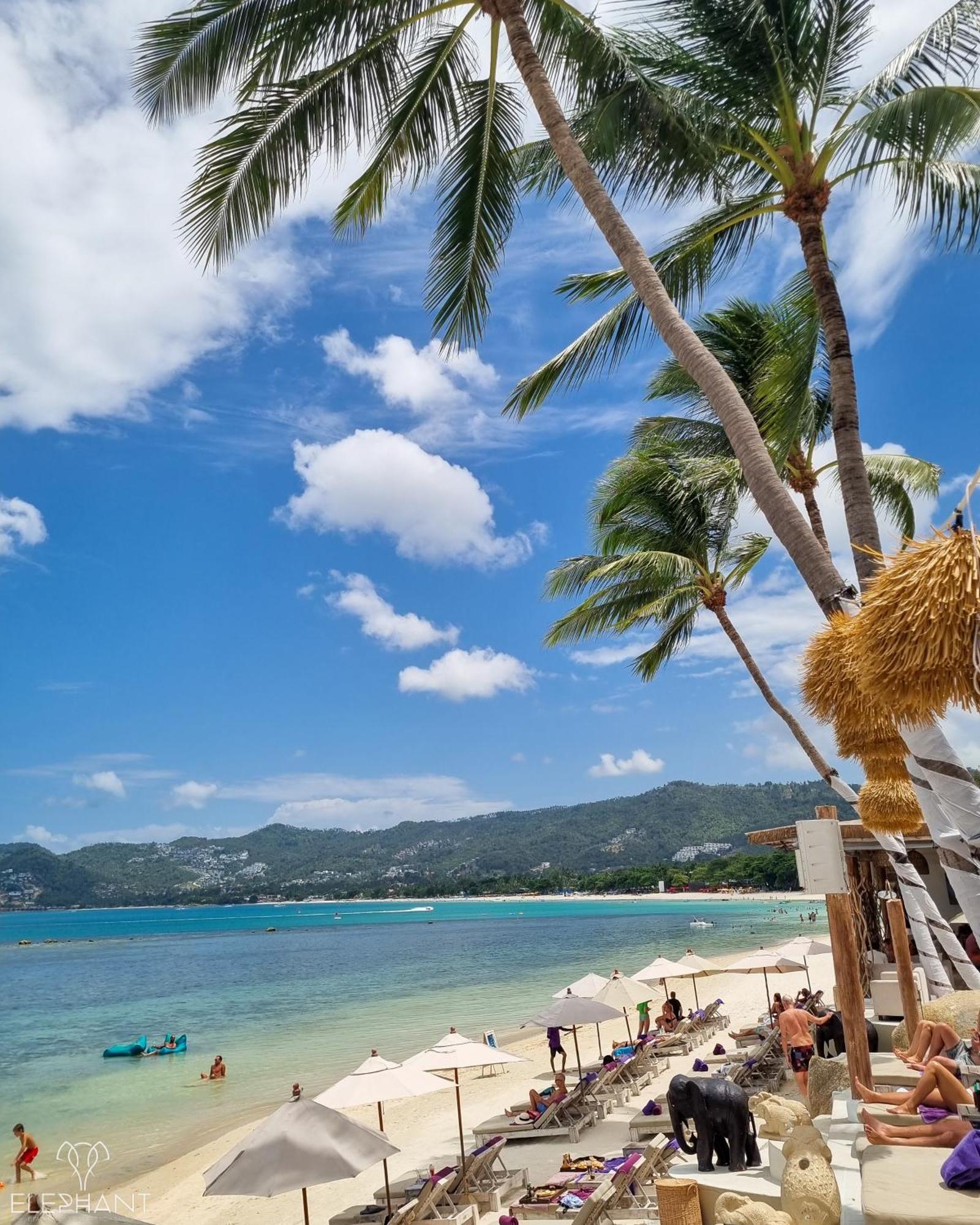 Elephant Club & Samui Station touristique