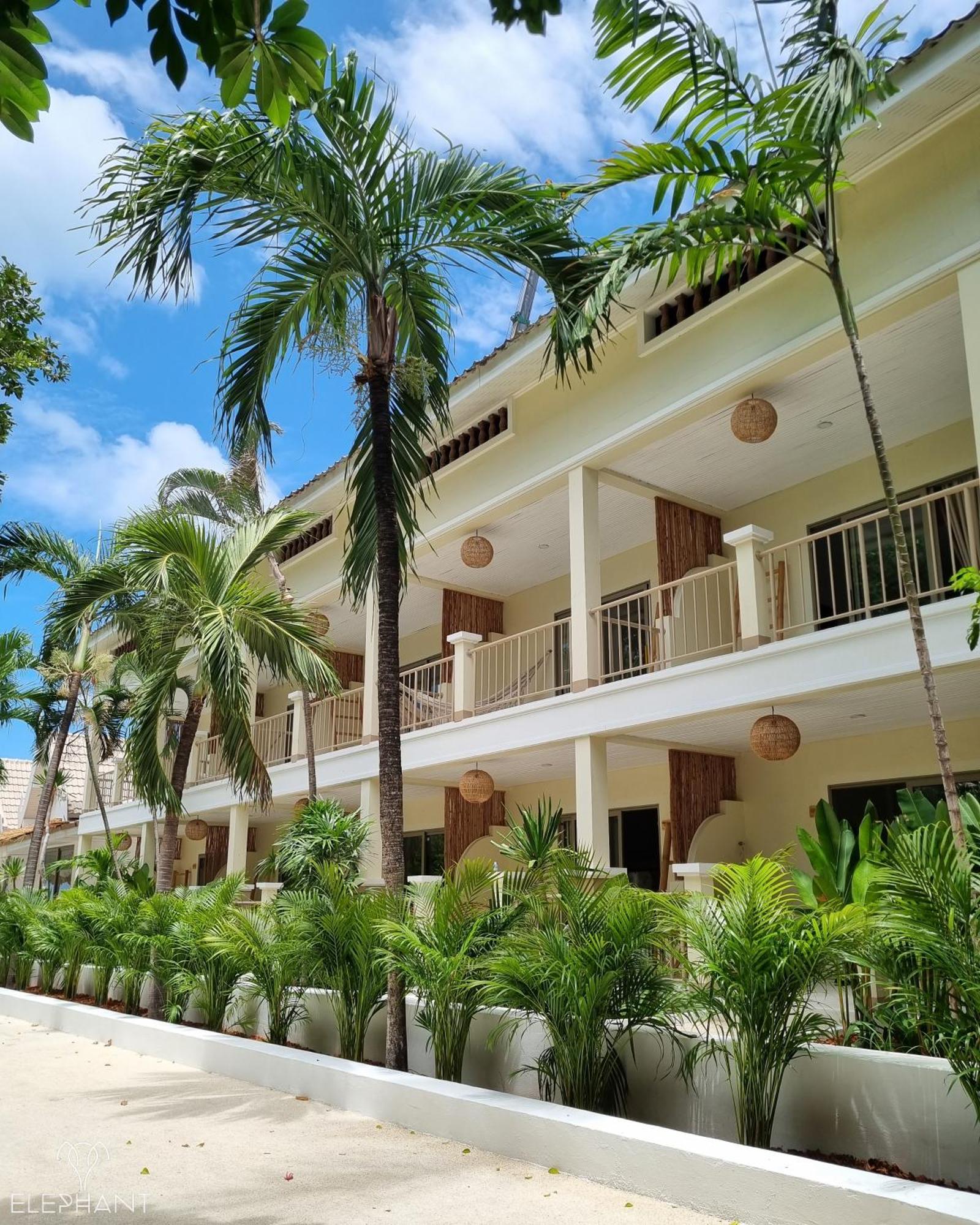 Elephant Club & Samui