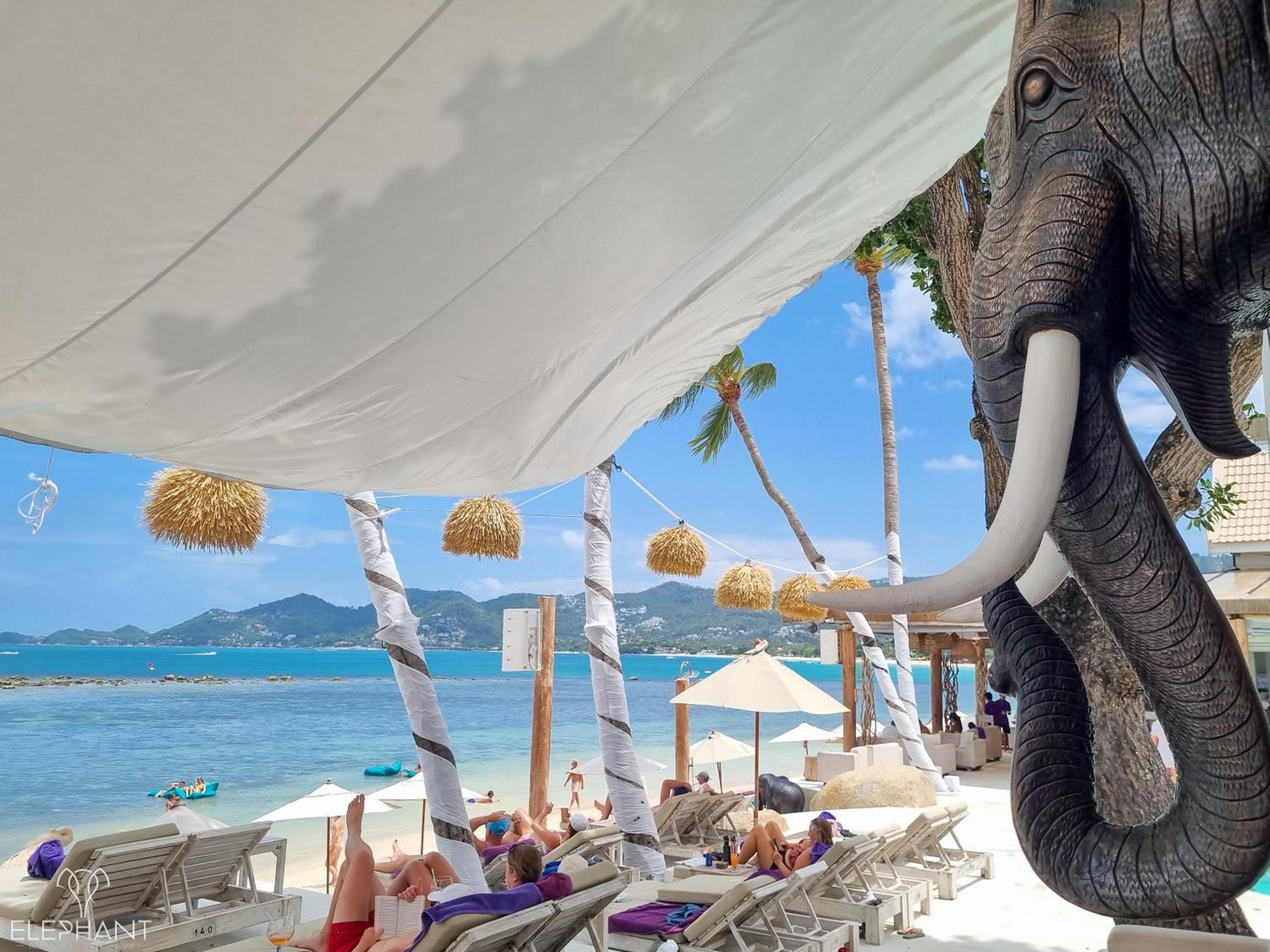 Elephant Club & Samui 4*