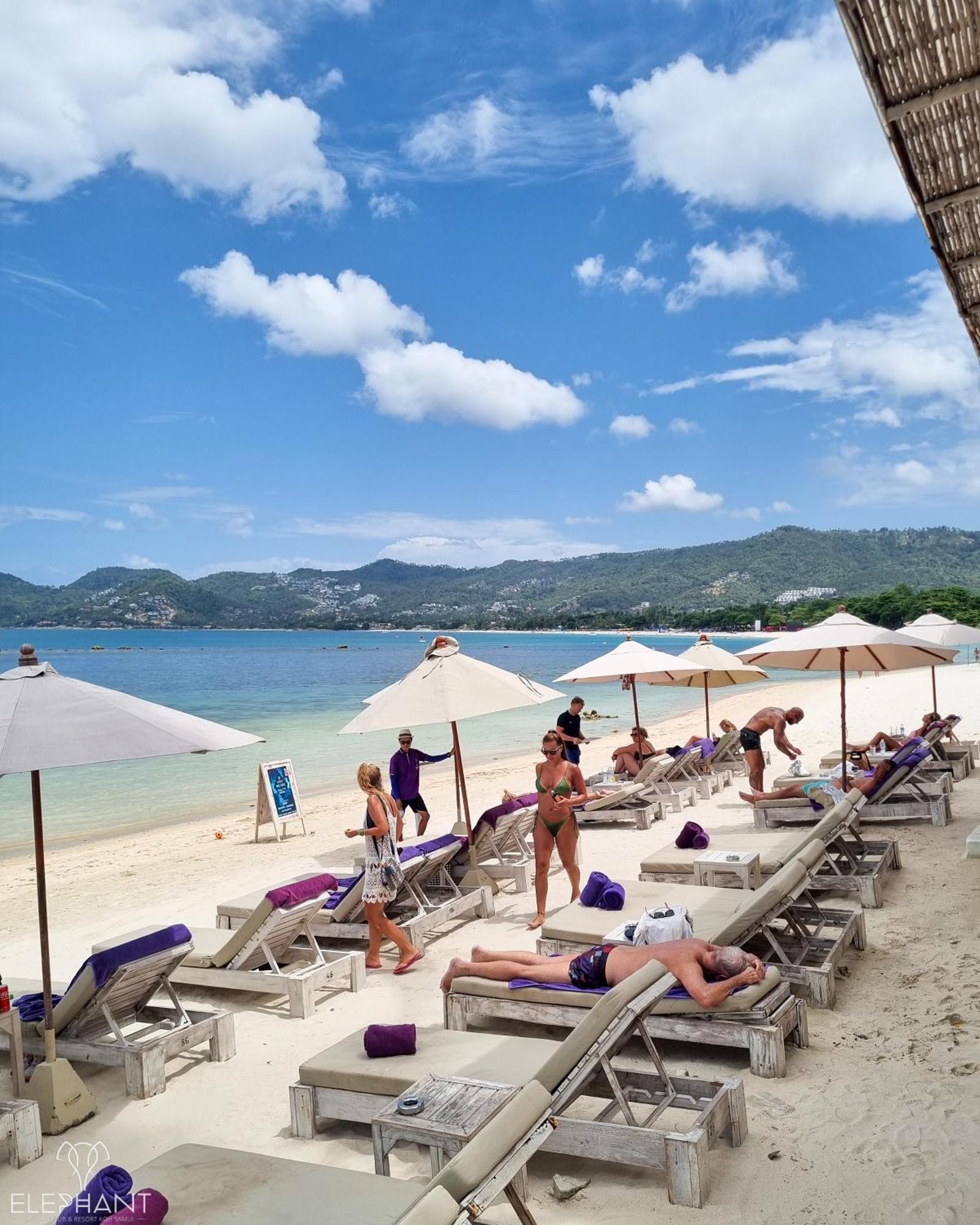 Elephant Club & Samui 4*