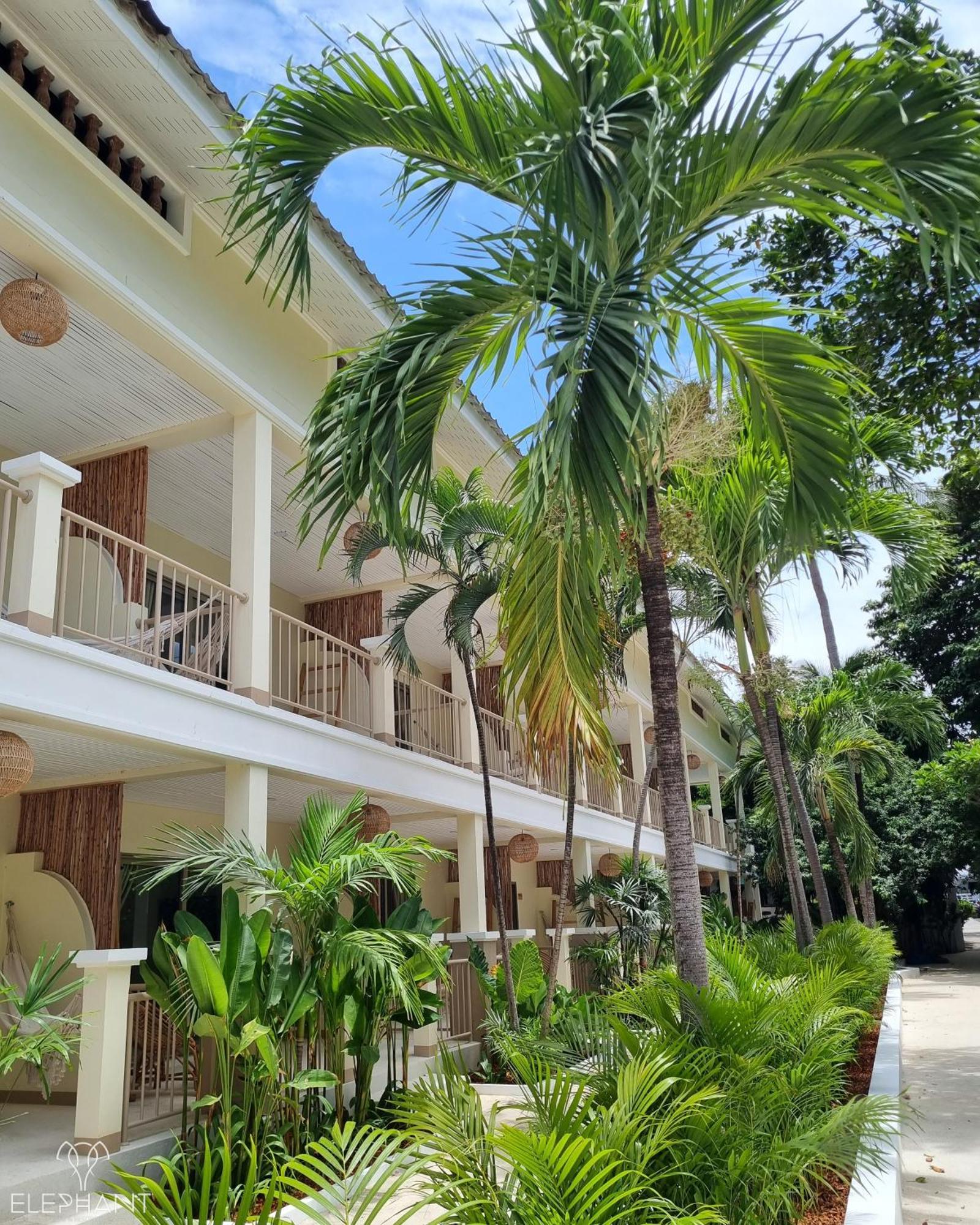 Tempat peranginan Elephant Club & Samui