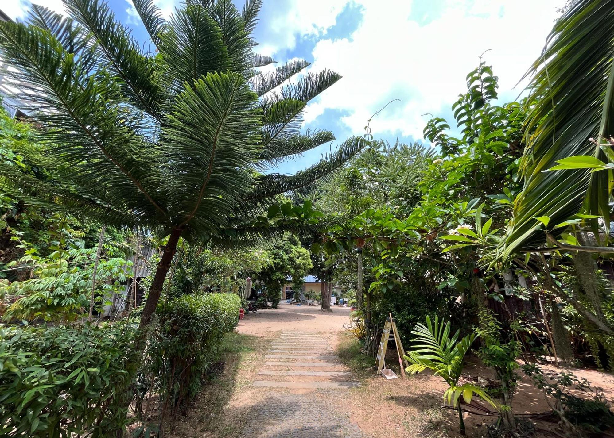 Maison d'hôtes Mae Somboon House *