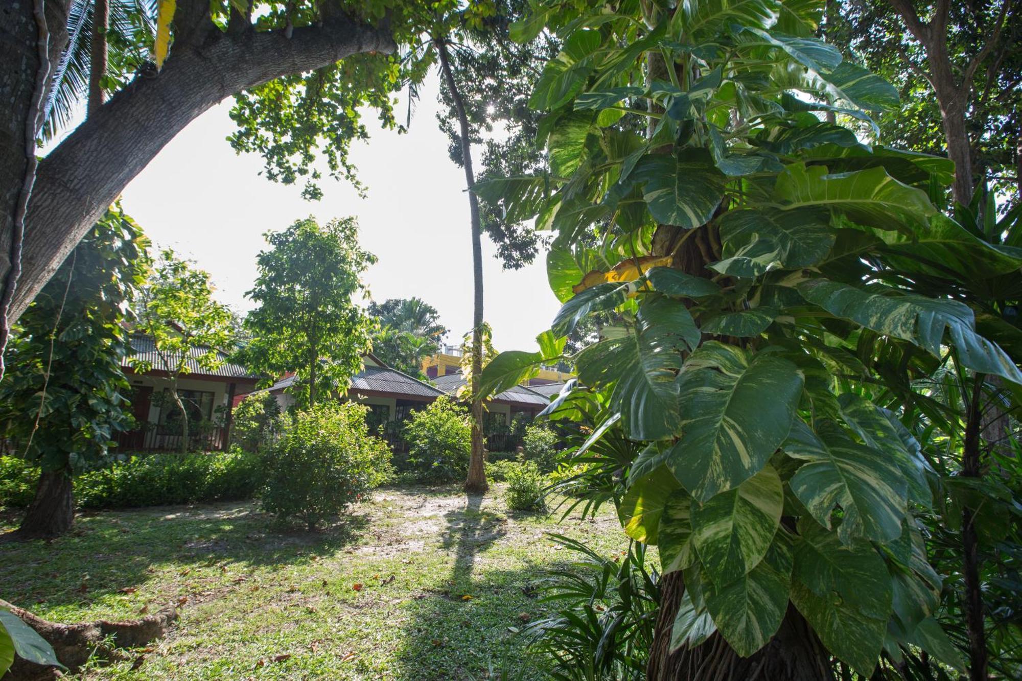 Long Lodge, Beach, Koh Samui Station touristique