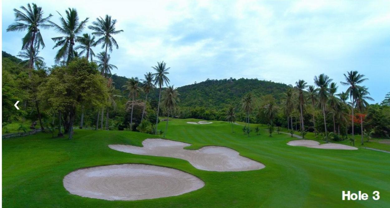 Maenam Hills Samui Holiday home *