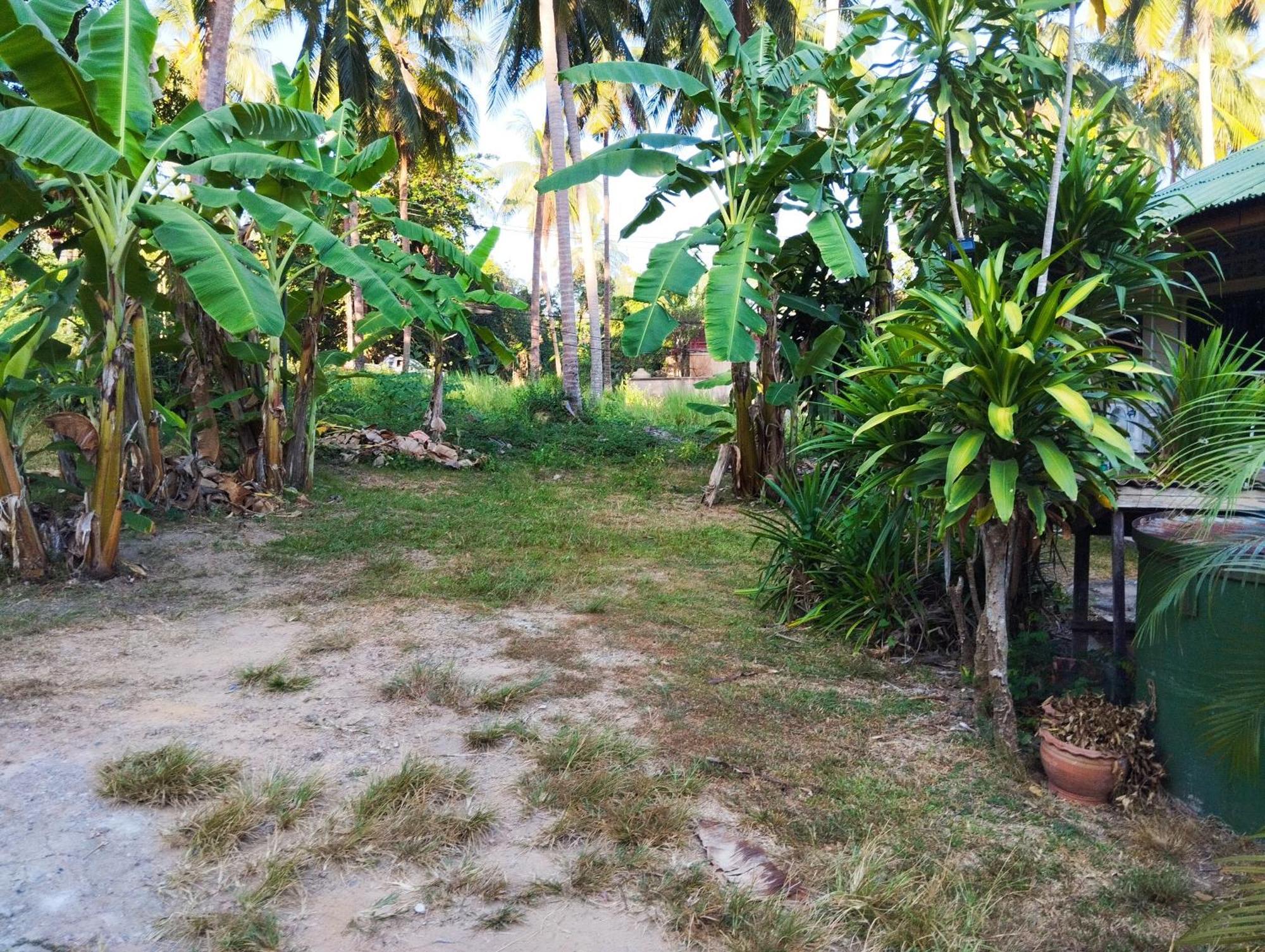 Sweety 100m From Bang Po Holiday home *