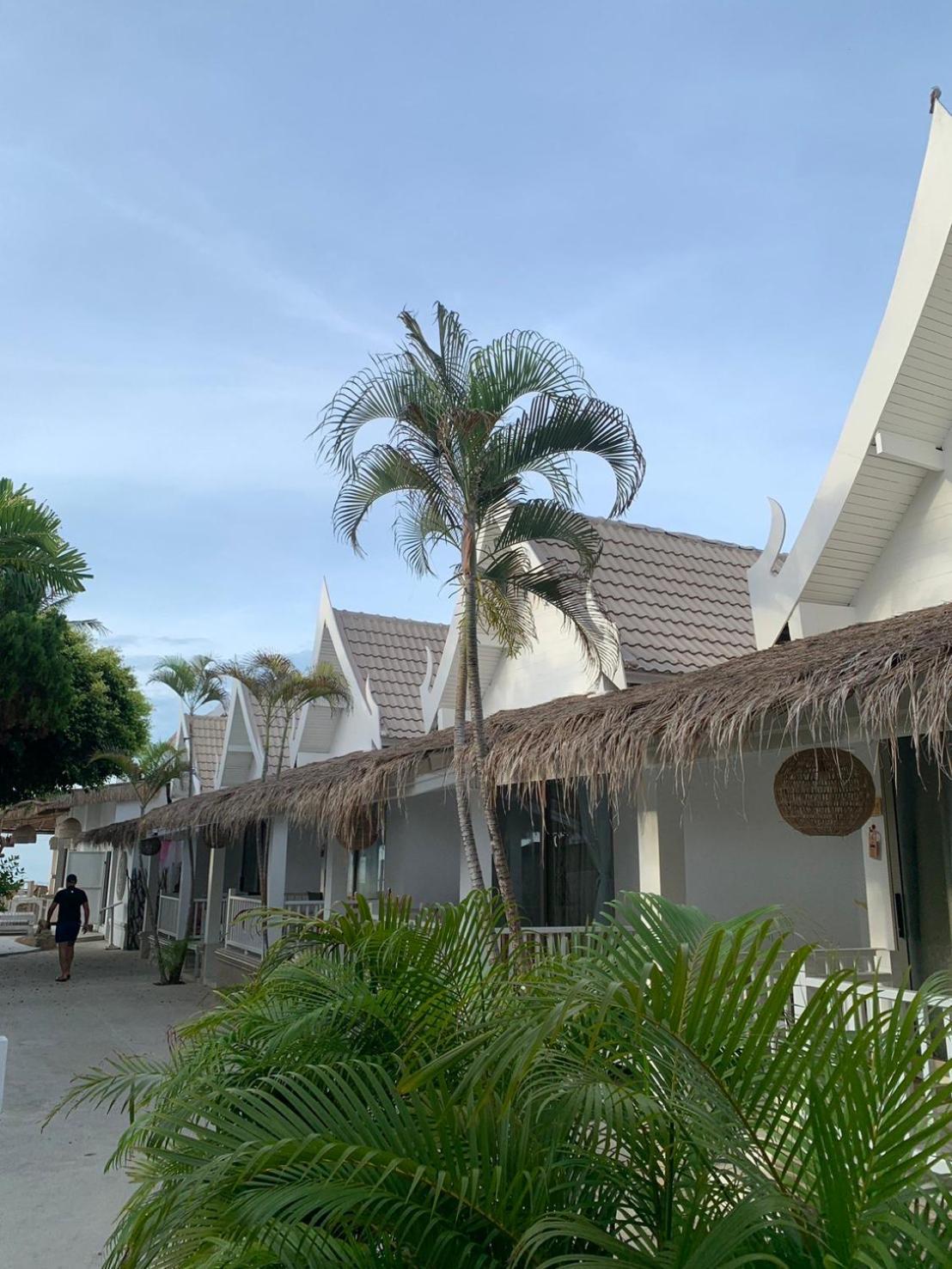 Elephant Club & Samui Station touristique