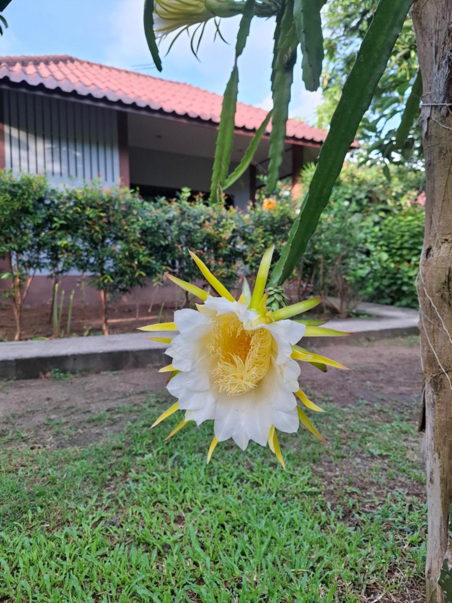 Bang Po Garden Resort