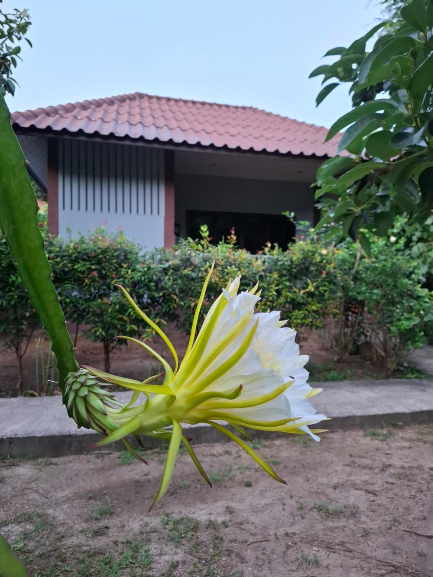 Bang Po Garden Resort *