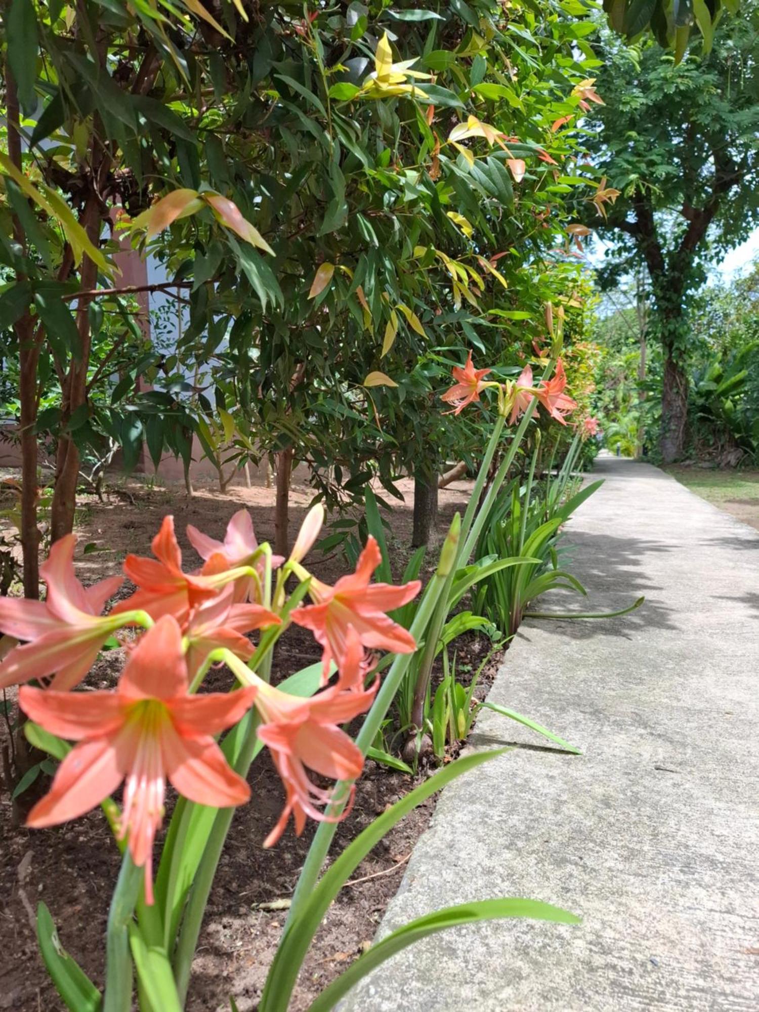 Resort Bang Po Garden *
