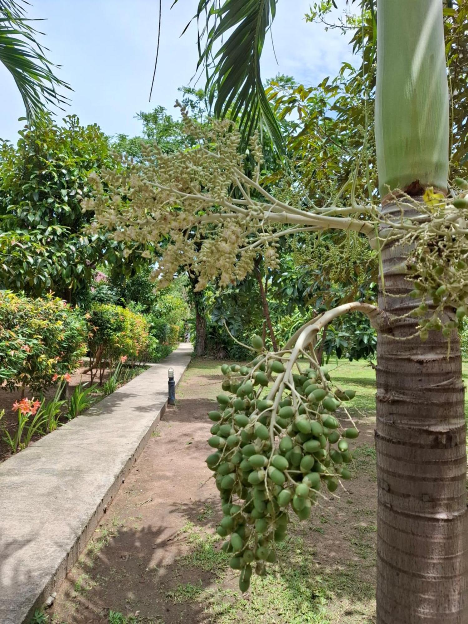 Bang Po Garden Resort