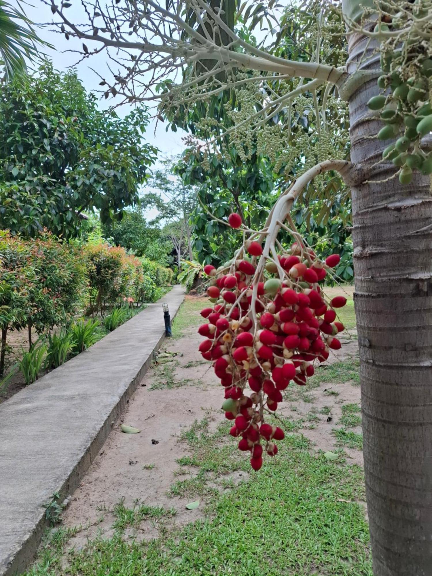 Bang Po Garden Resort *