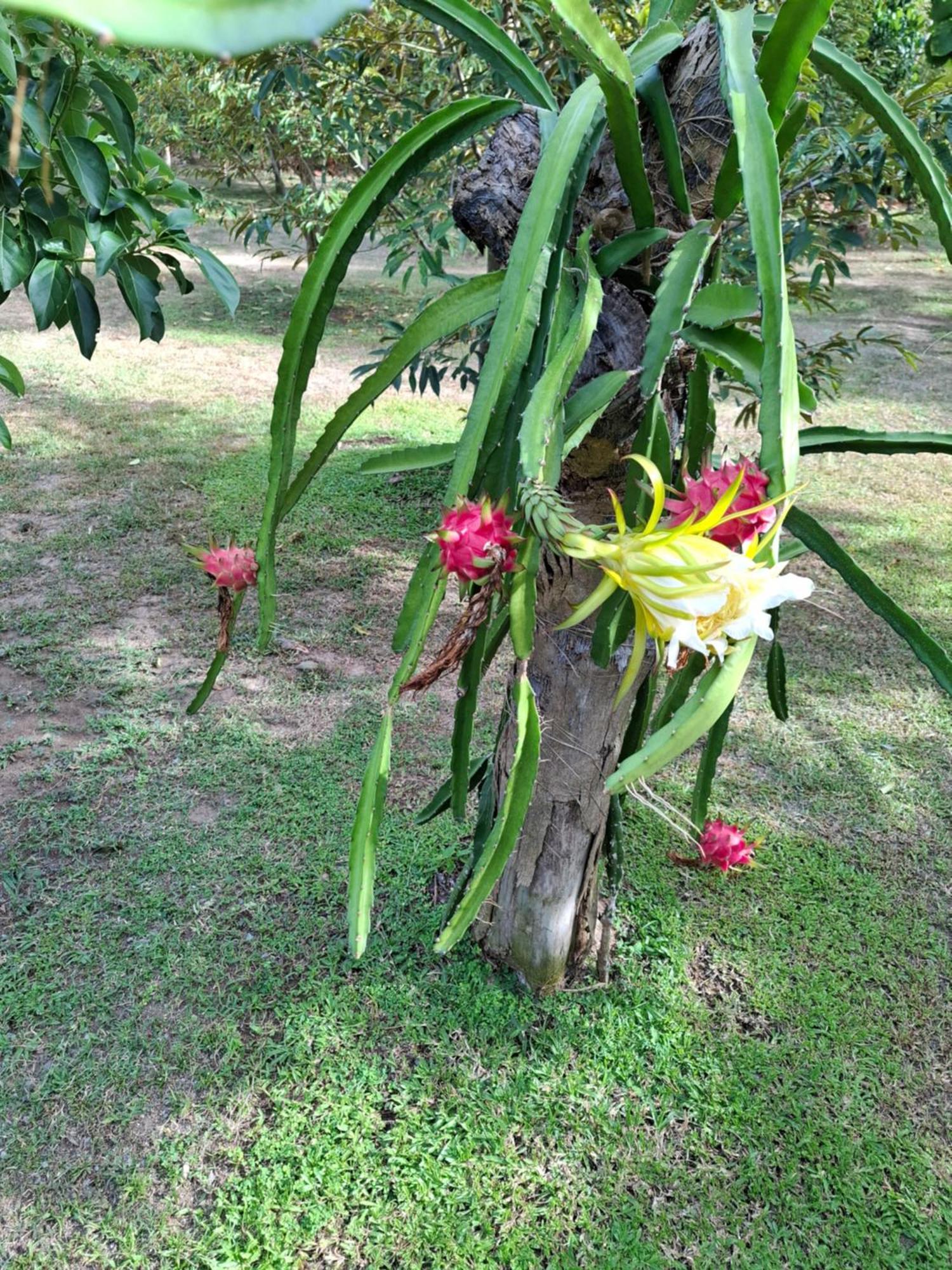 Bang Po Garden Resort Ban Bang Po