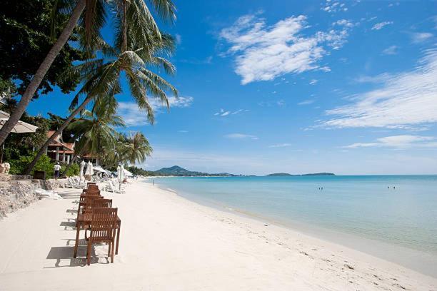 Chaweng Town Amphoe Koksamui