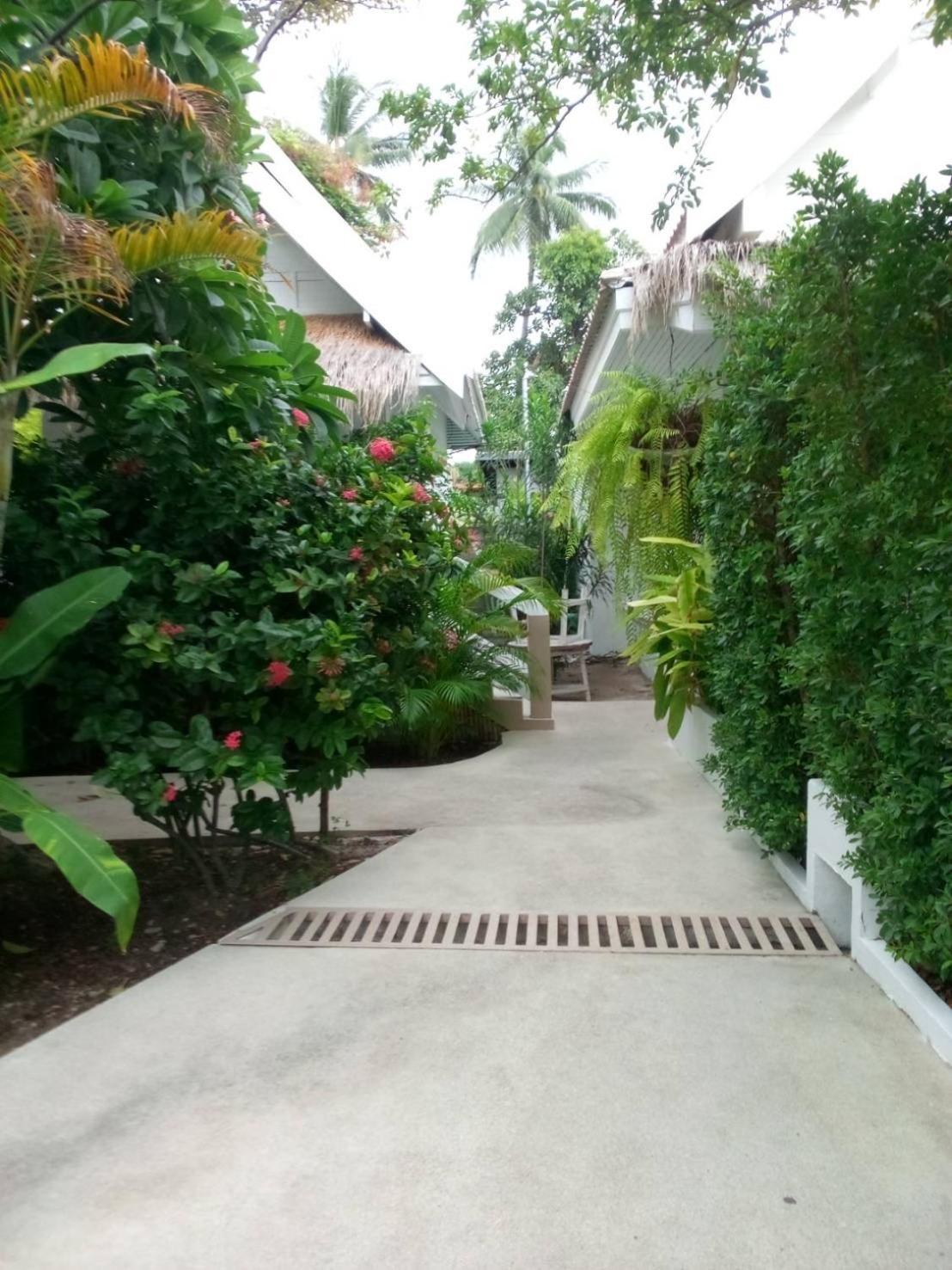 Elephant Club & Samui Tempat peranginan