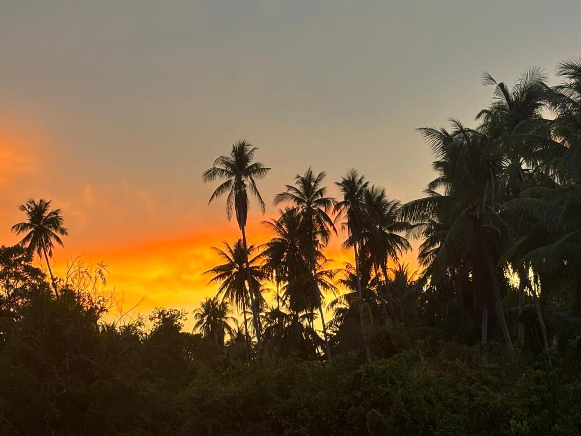 Shanti Samui