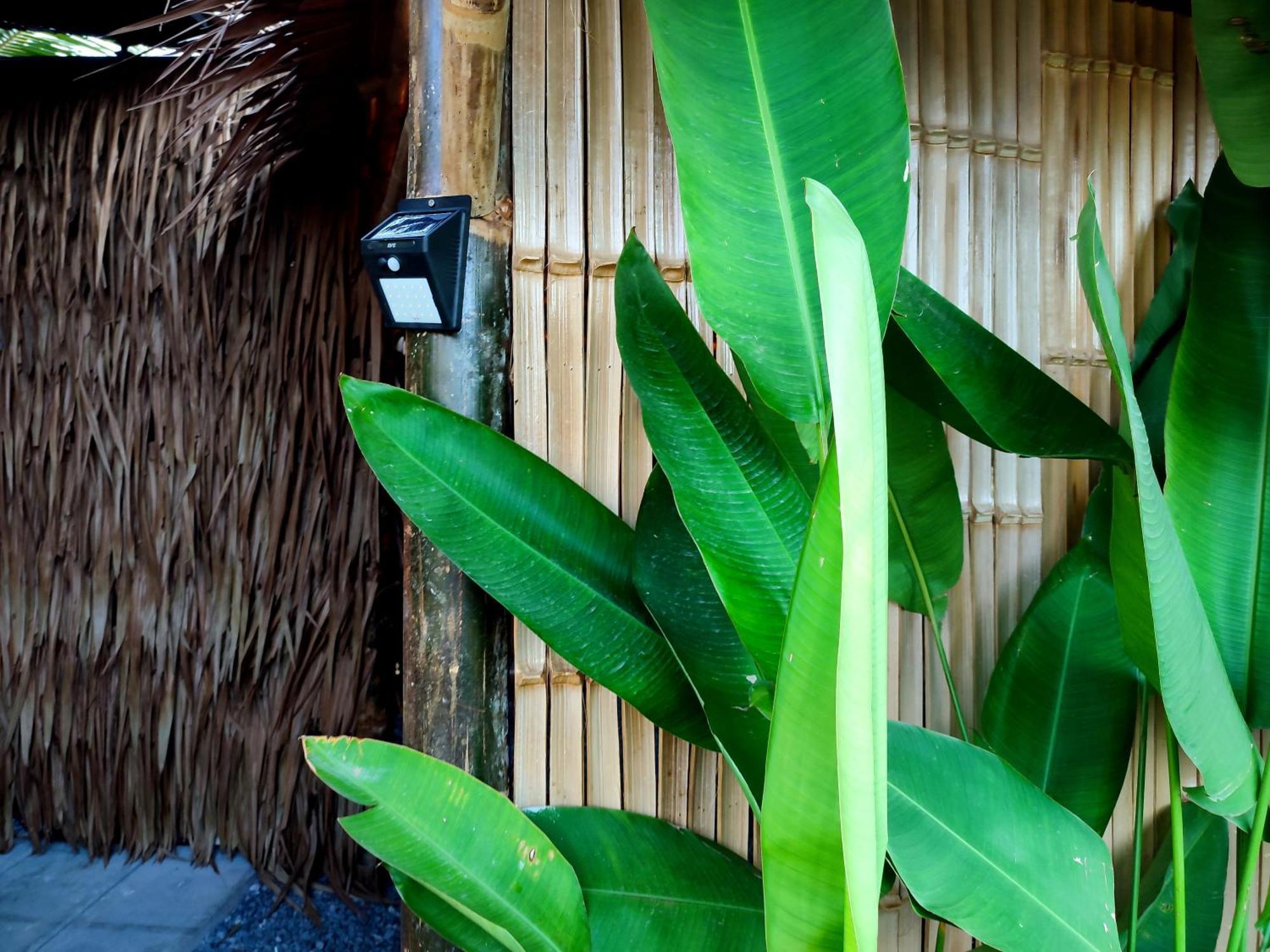 2br 2bath Eco Bungalow, Bangrak Beach, Koh Samui *