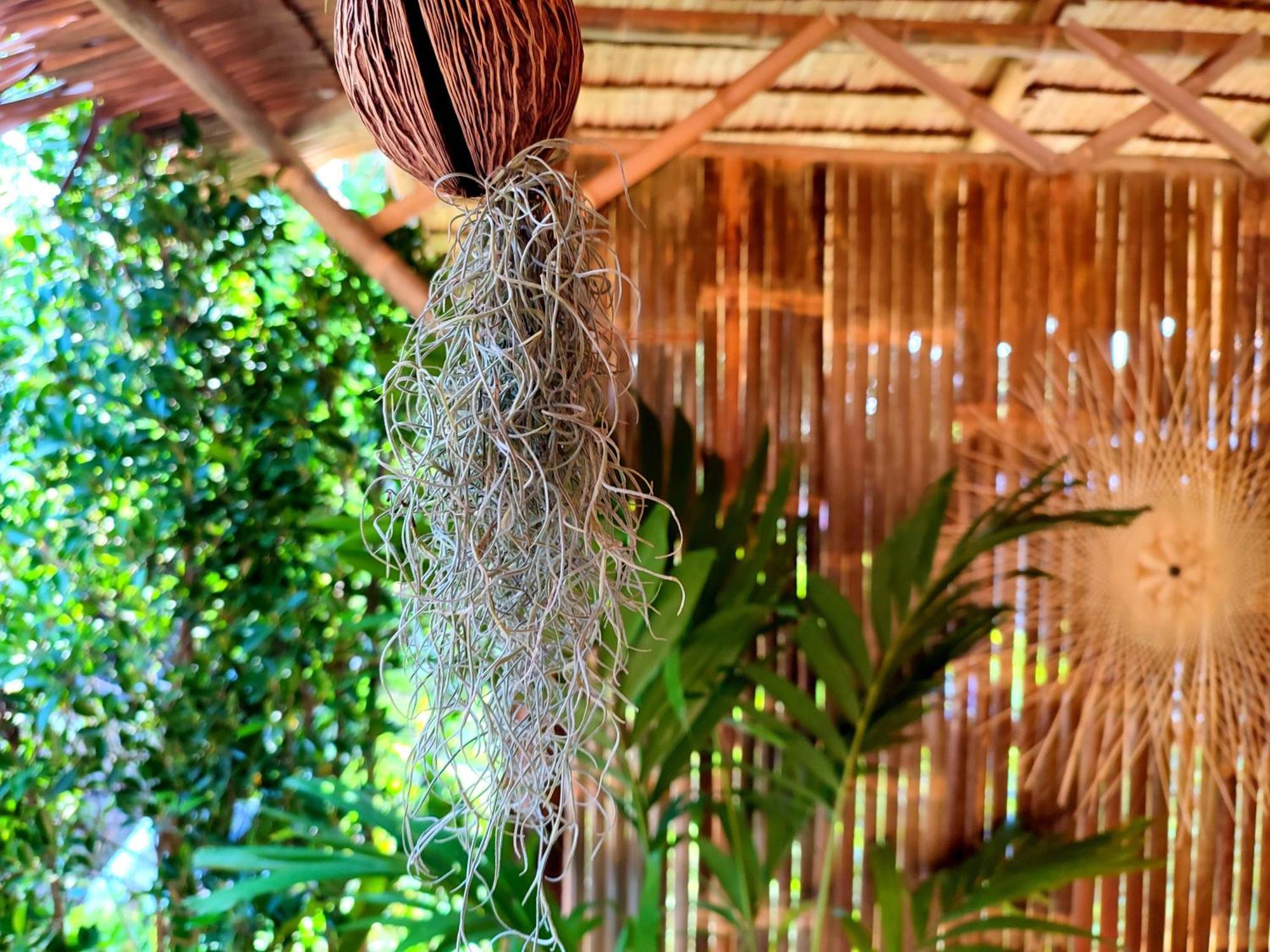 Holiday home 2br 2bath Eco Bungalow, Bangrak Beach, Koh Samui *