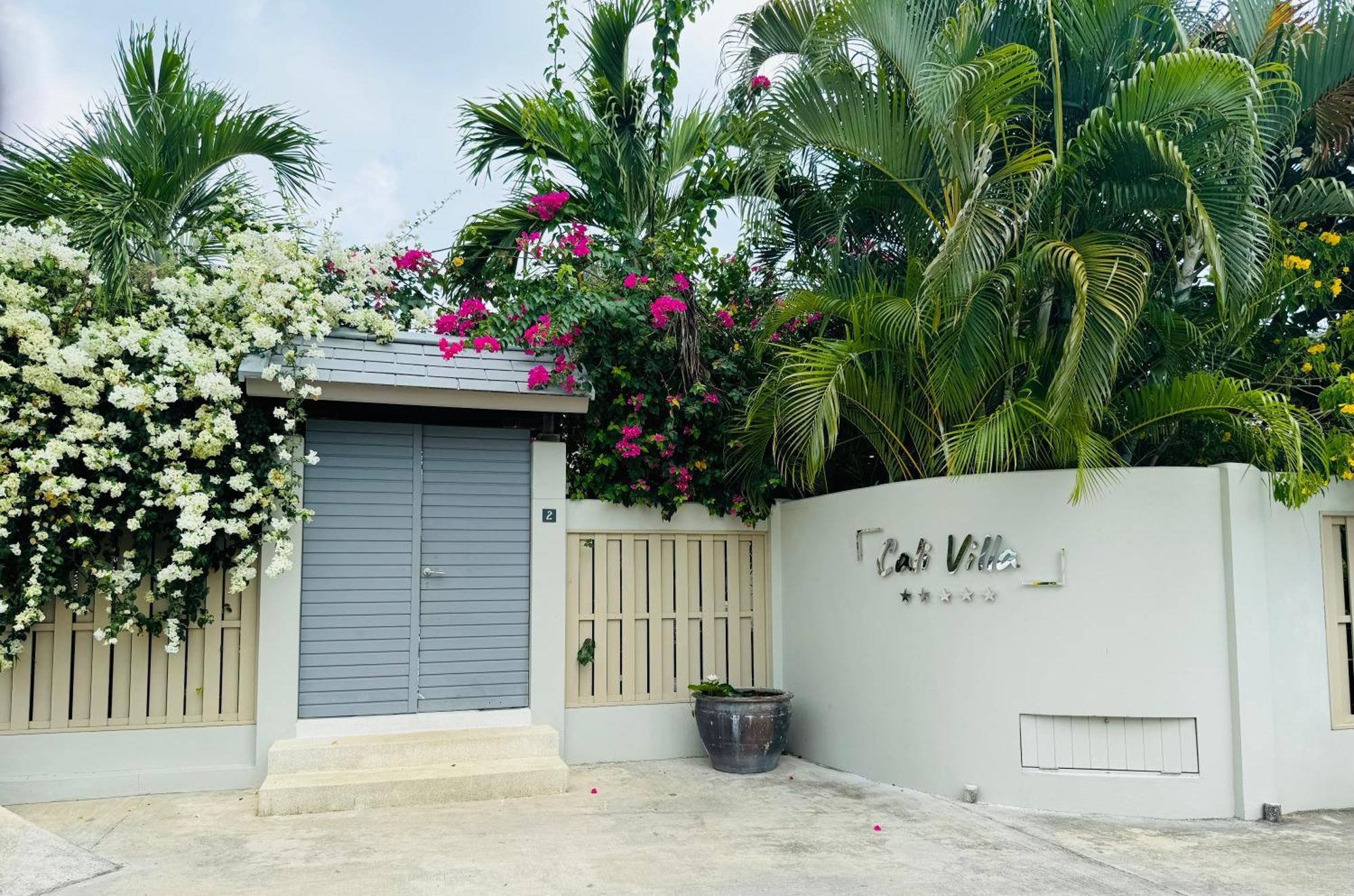 Cali Samui