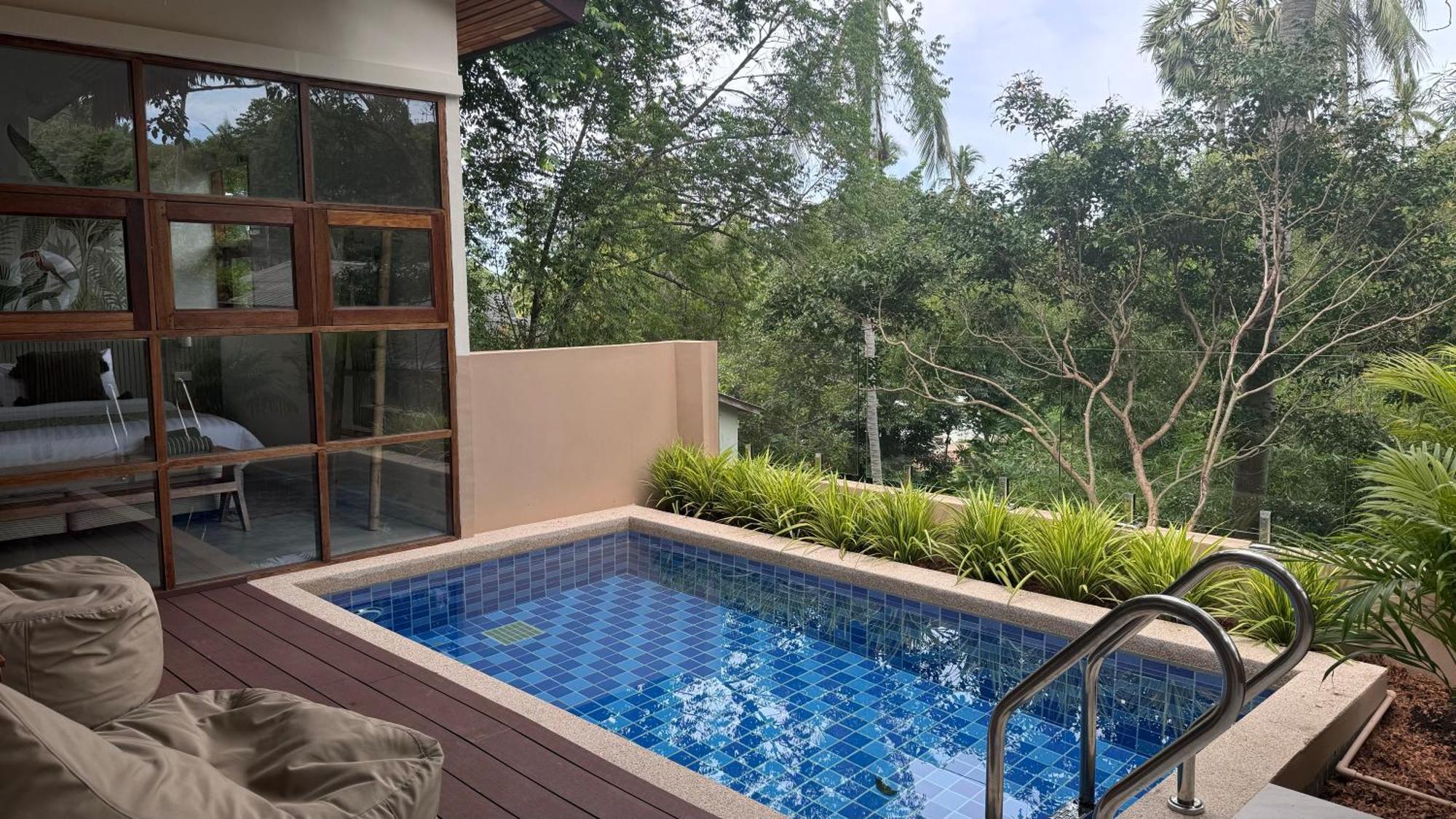 Tropical Jungle, 25