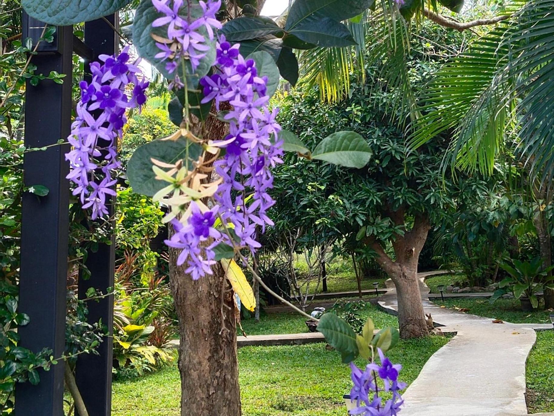 Bang Po Hut Resort