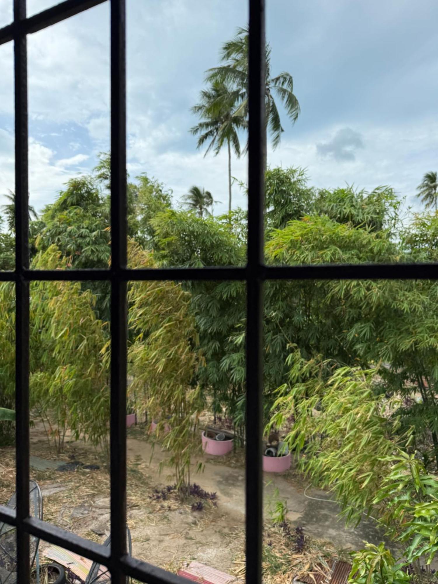 Dikachaya Hostel *