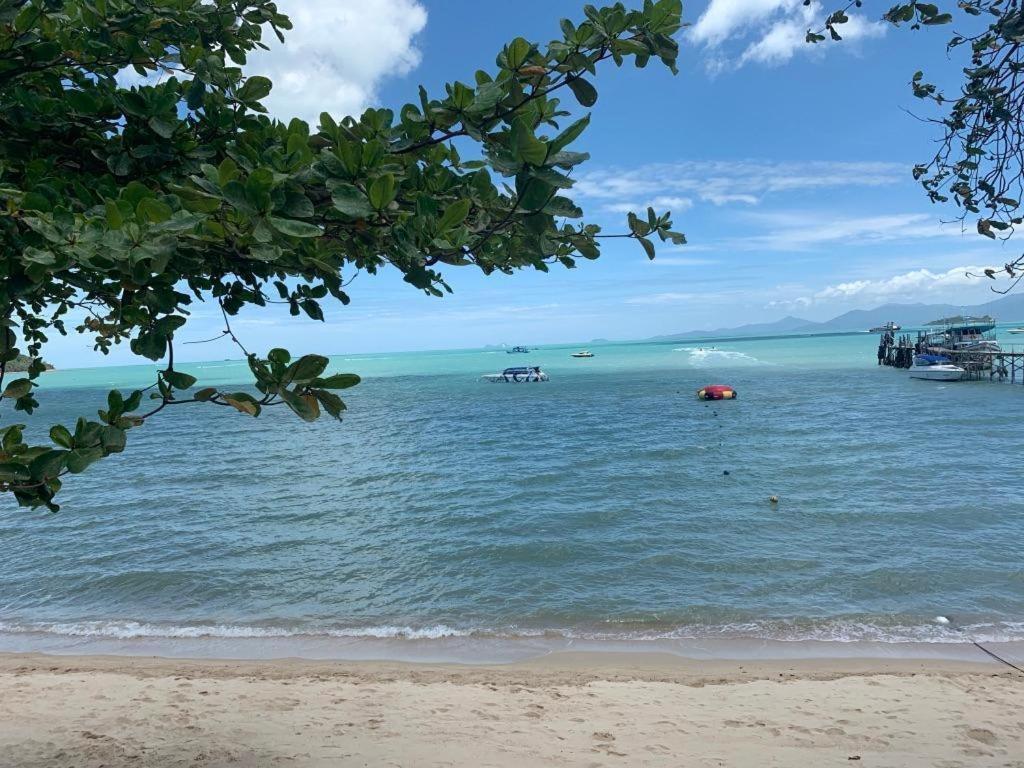 Sea 3*
