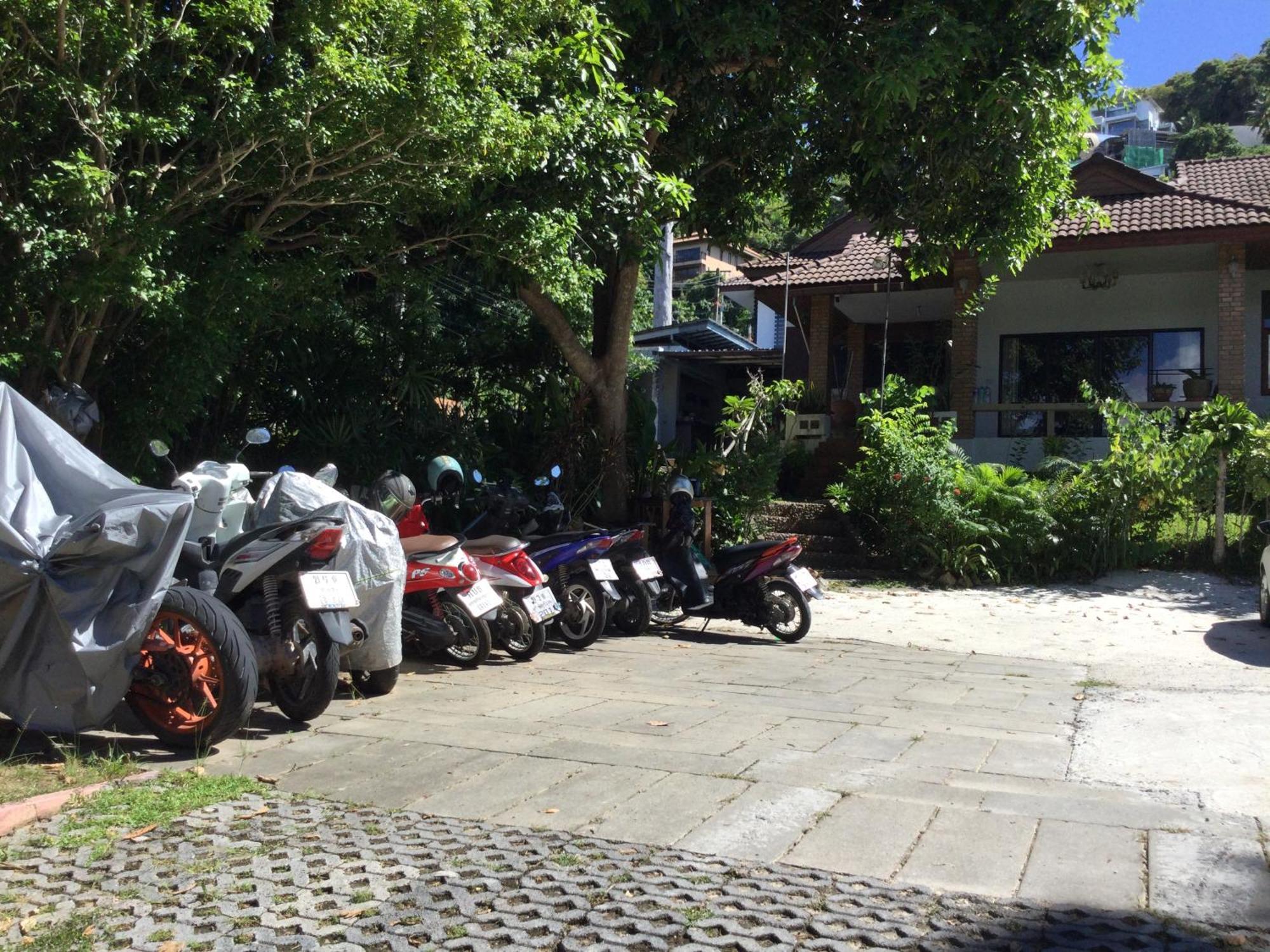 Ananas Samui Hostel *