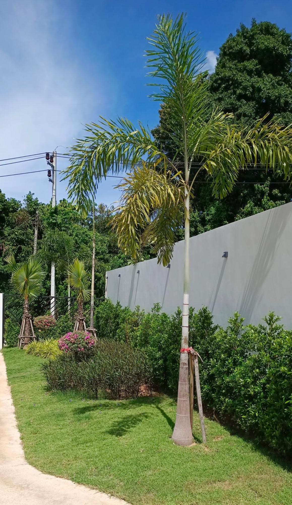 Jasmine Pool Villa, Bangrak, Bo Phut Fisherman's Village Villa *