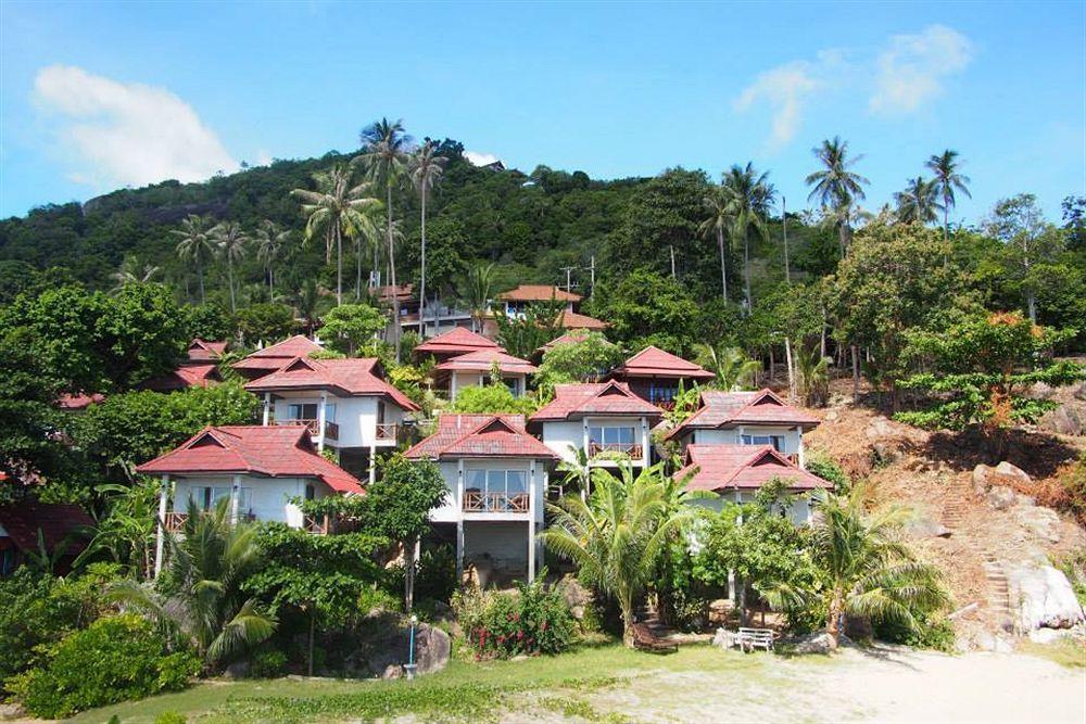 Hi Coral Cove - Snorkeling Point