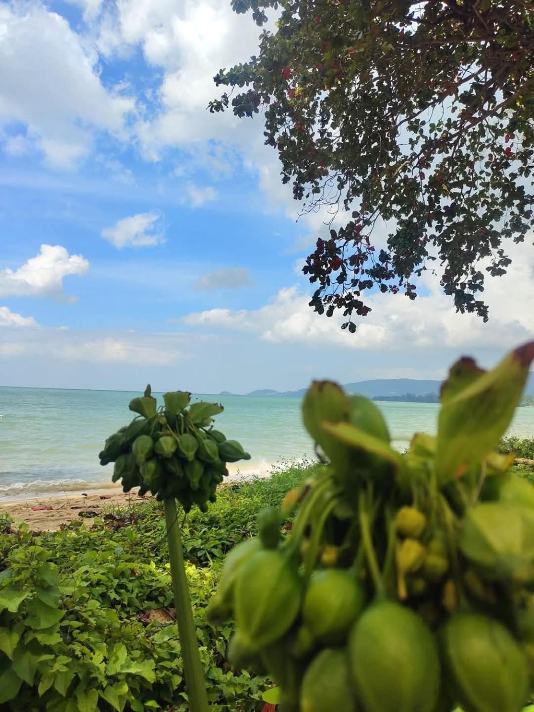 Holiday home House In Lipa Noi Ban Na We