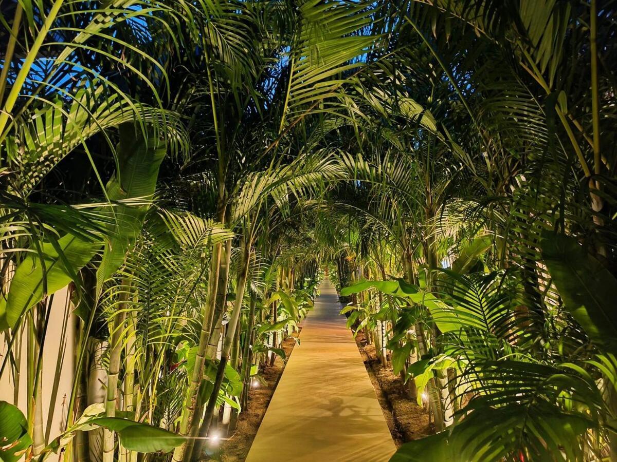 Villa Palmara - Cosy