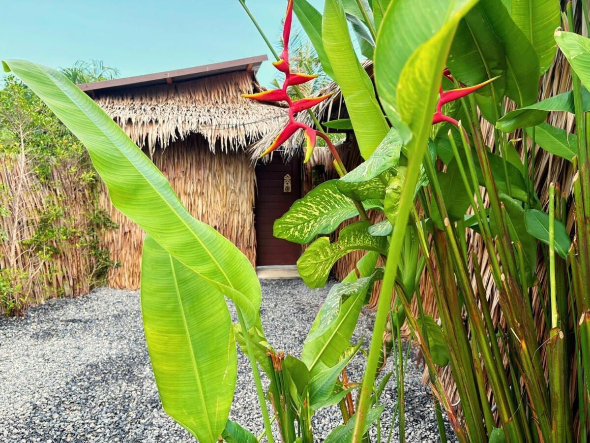 New Eco Bungalow, Bangrak Amphoe Koksamui