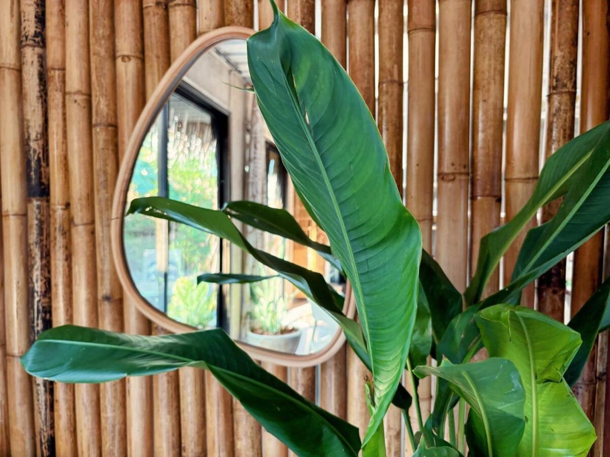 New Eco Bungalow, Bangrak * Amphoe Koksamui