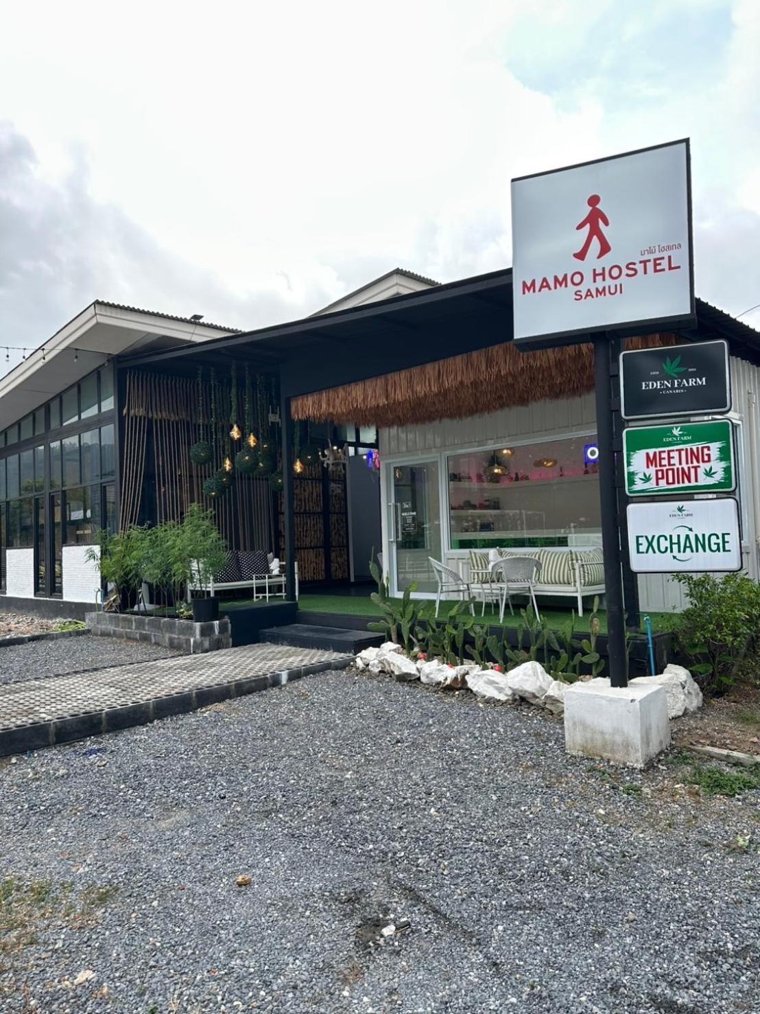 Hostel Mamo Samui - Male Bottom 9 *