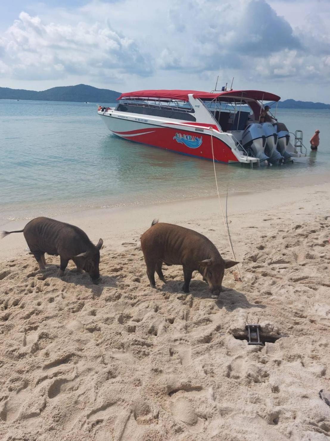 Bonny 2* Lamai Beach (Koh Samui)