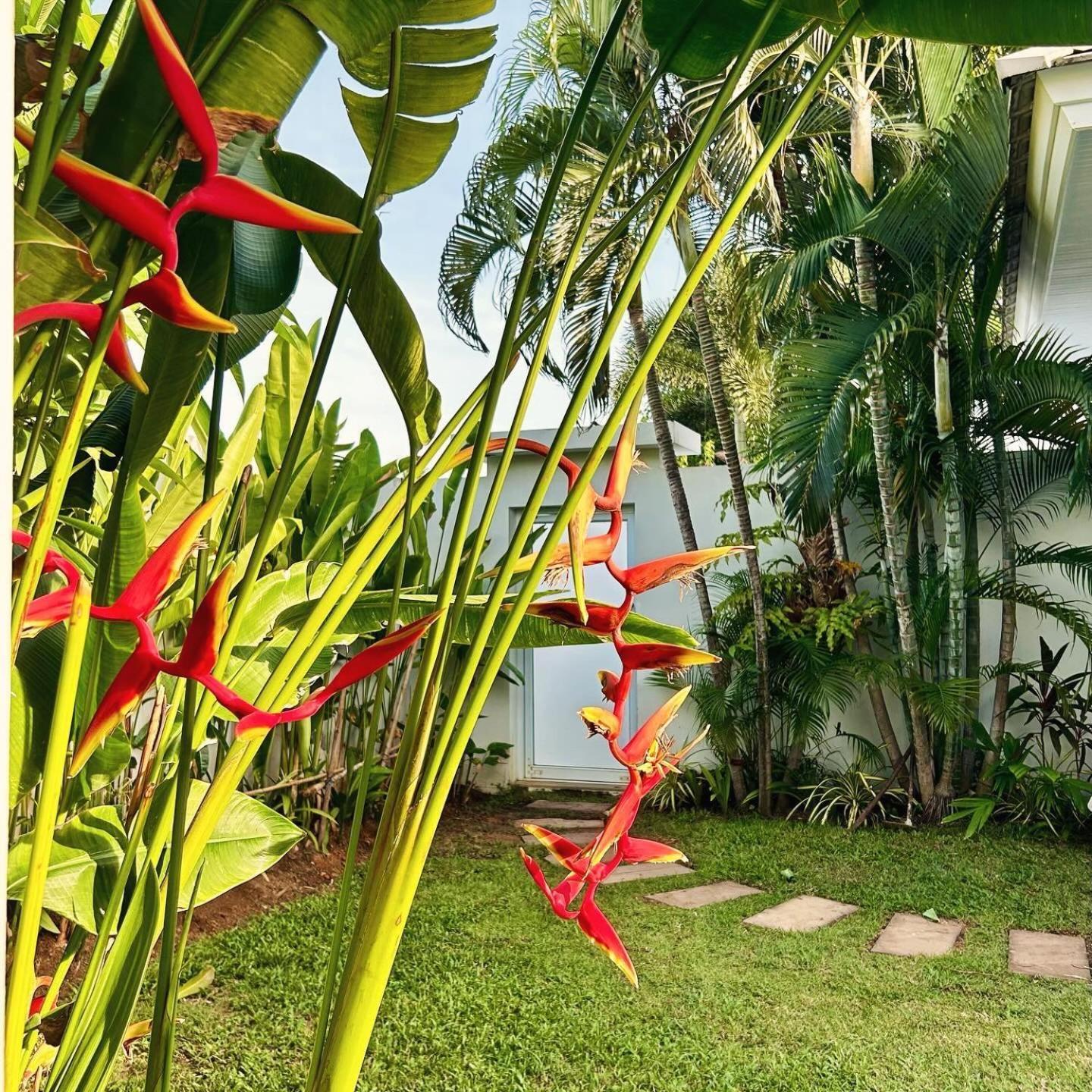 Samui Sunset 22g Villa *