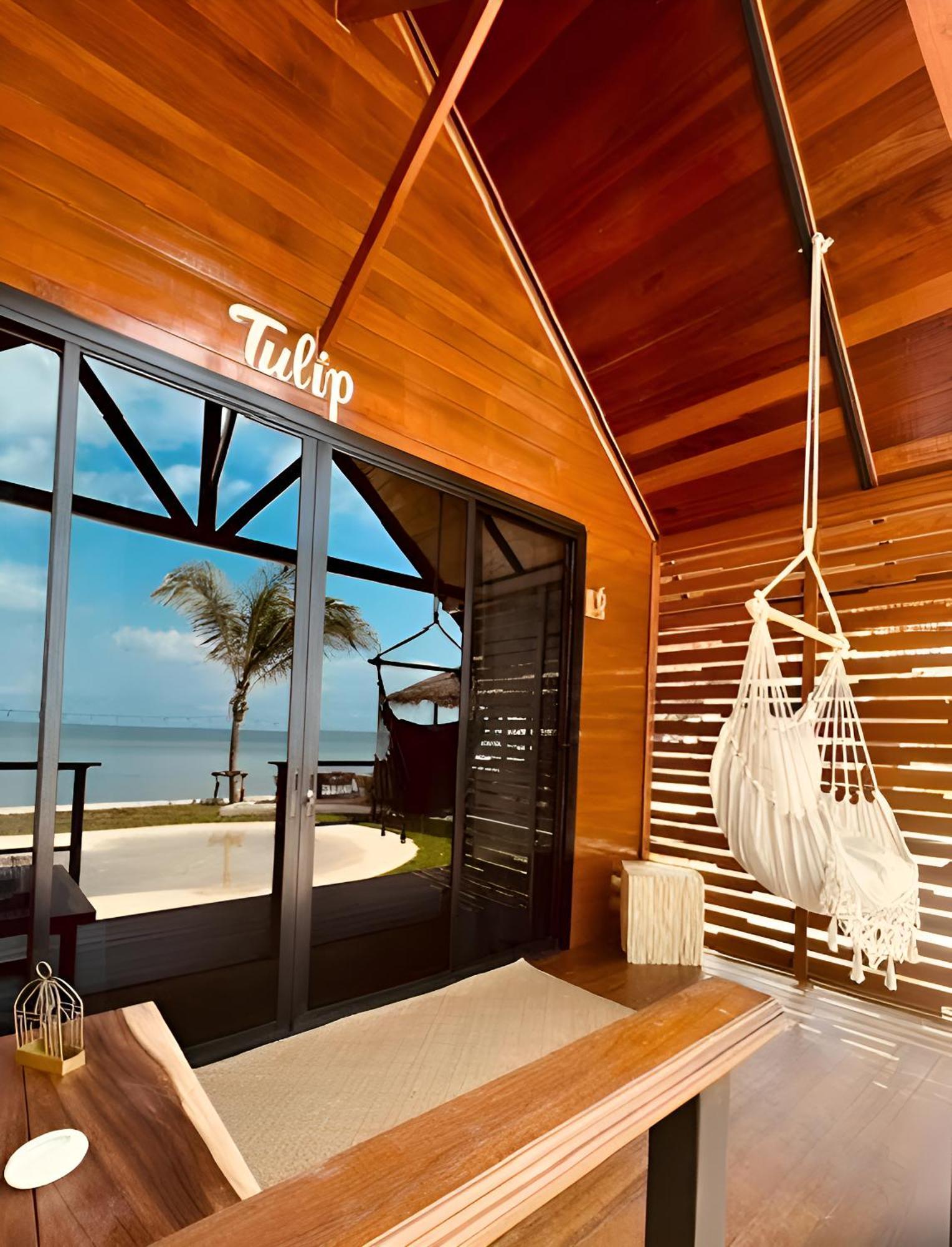L'edenroc Shelby Samui