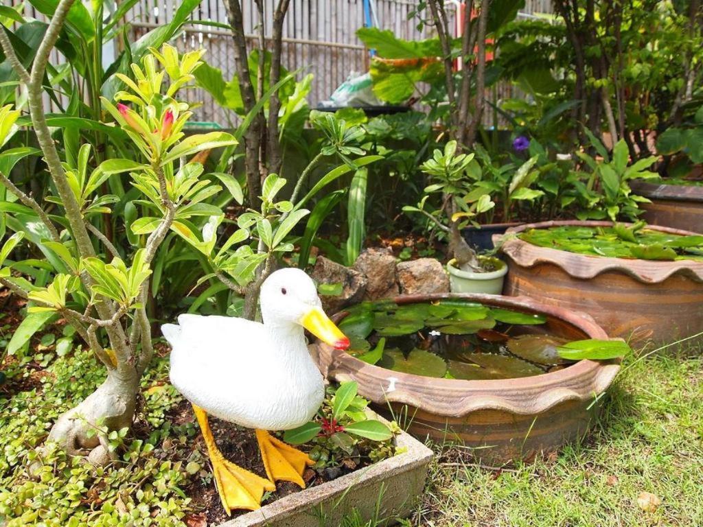 Hotel Baan Sala Lung Dam