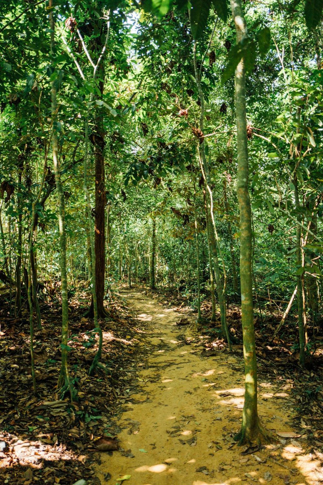 Ferienhaus Singing Frogs Jungle Ban Lamai