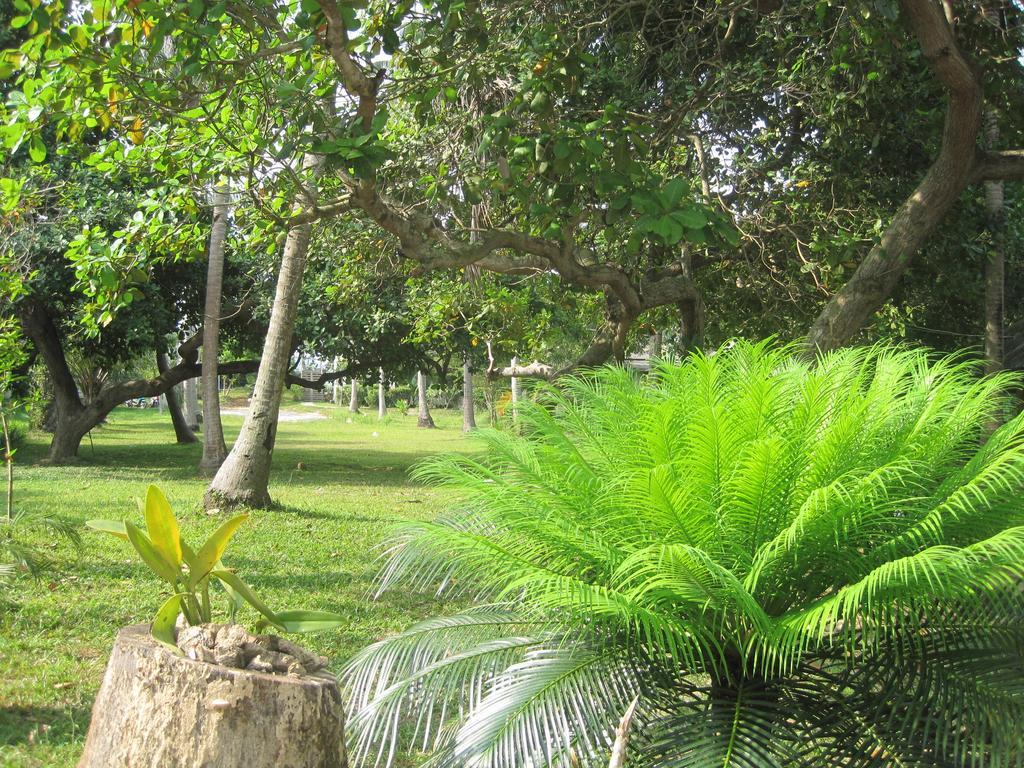 Guest house Sira Sarai Garden