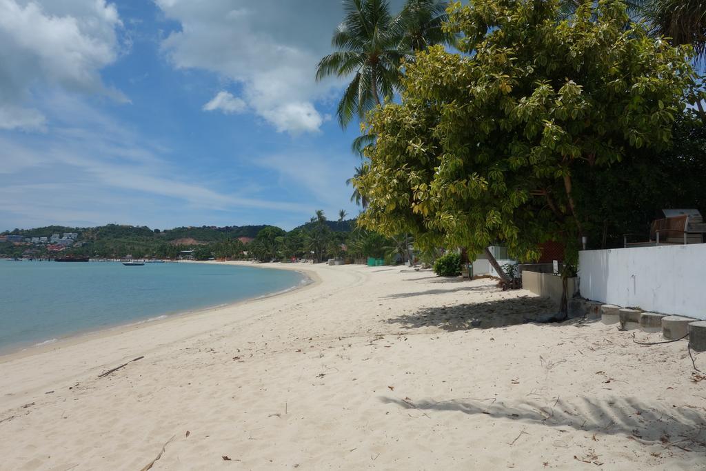 Samui Apartment