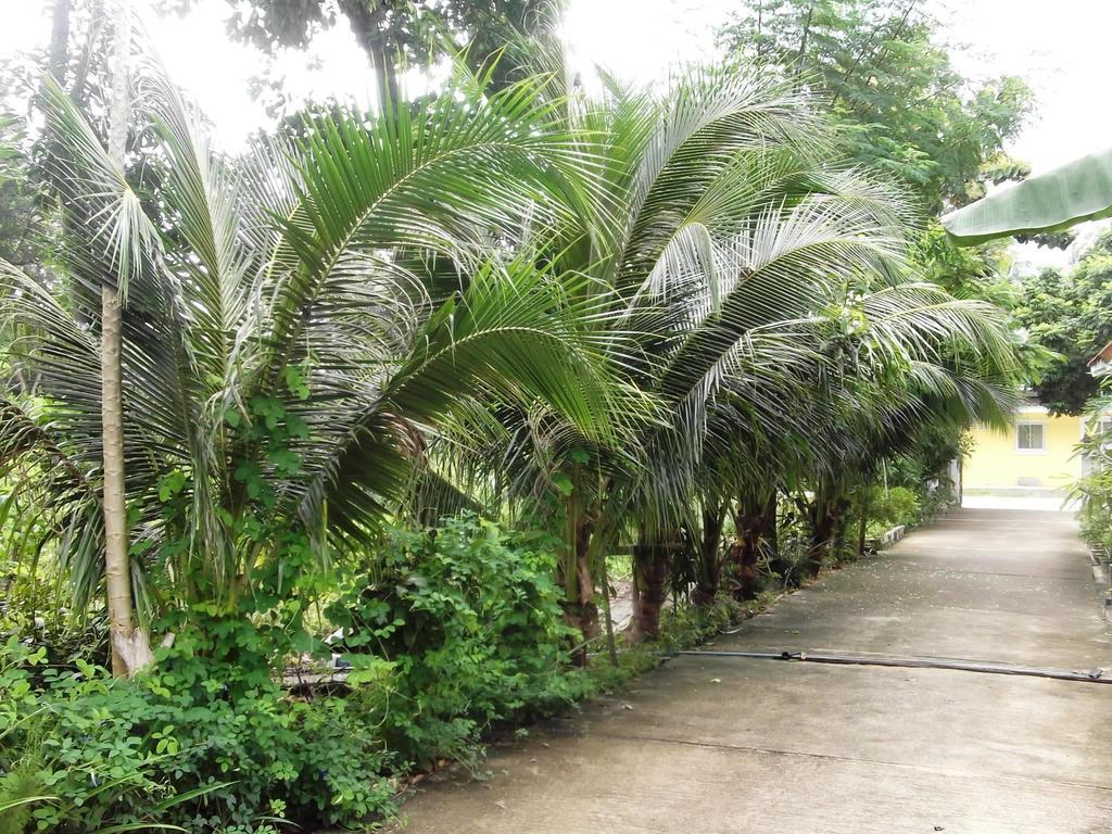 Wilai Villa Lamai Ferienhaus Maret