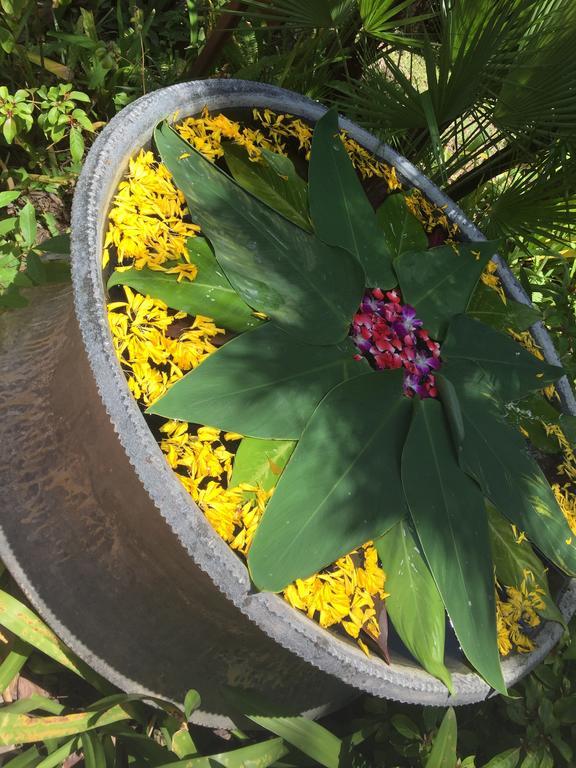 Visit Natural Detox (adults Only)