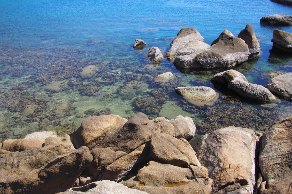 Hi Coral Cove - Snorkeling Point