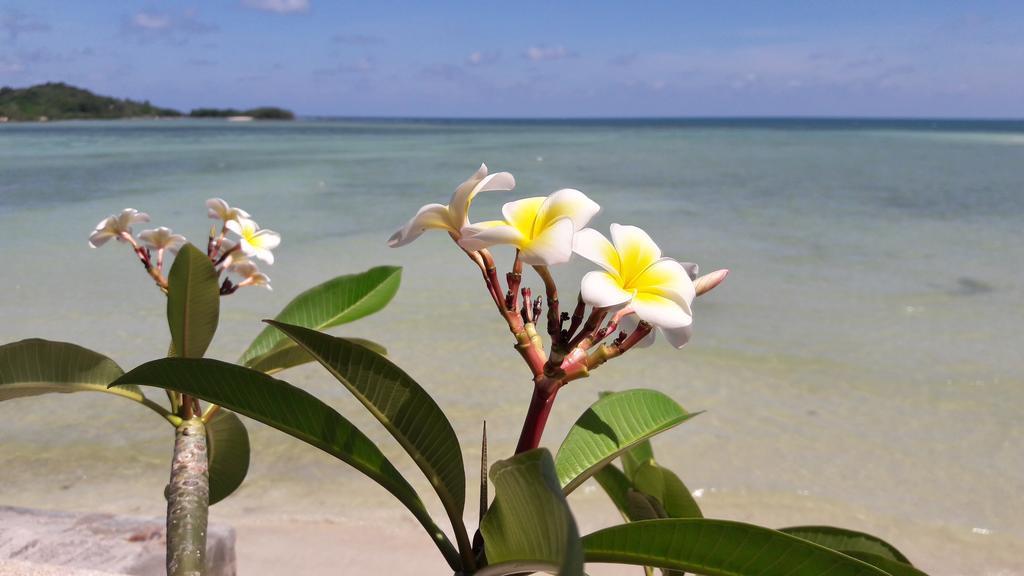 Papillon Resort 3*