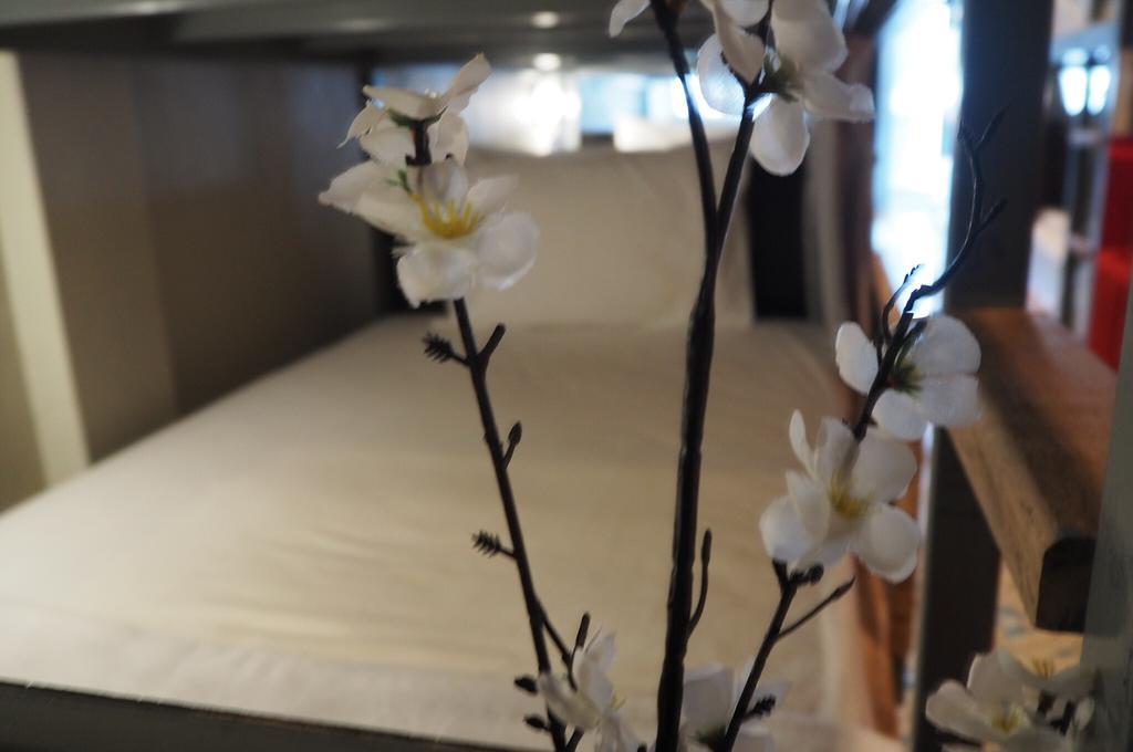 My Samui Albergue *