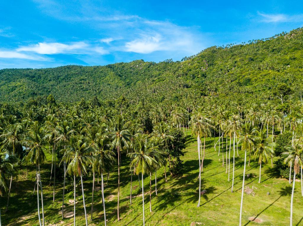 Eden Villa