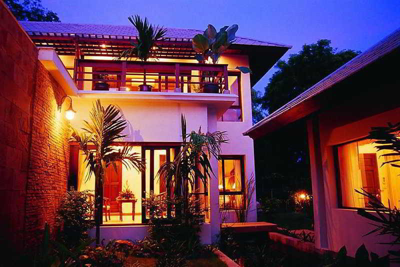 Samui Honey Tara