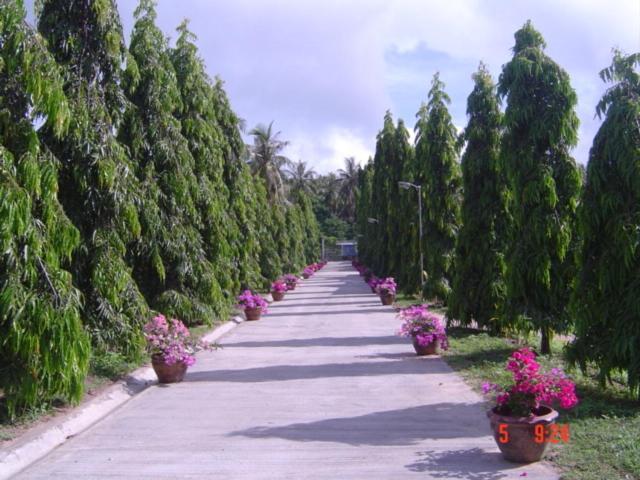 Baansaensook Villas Holiday home *
