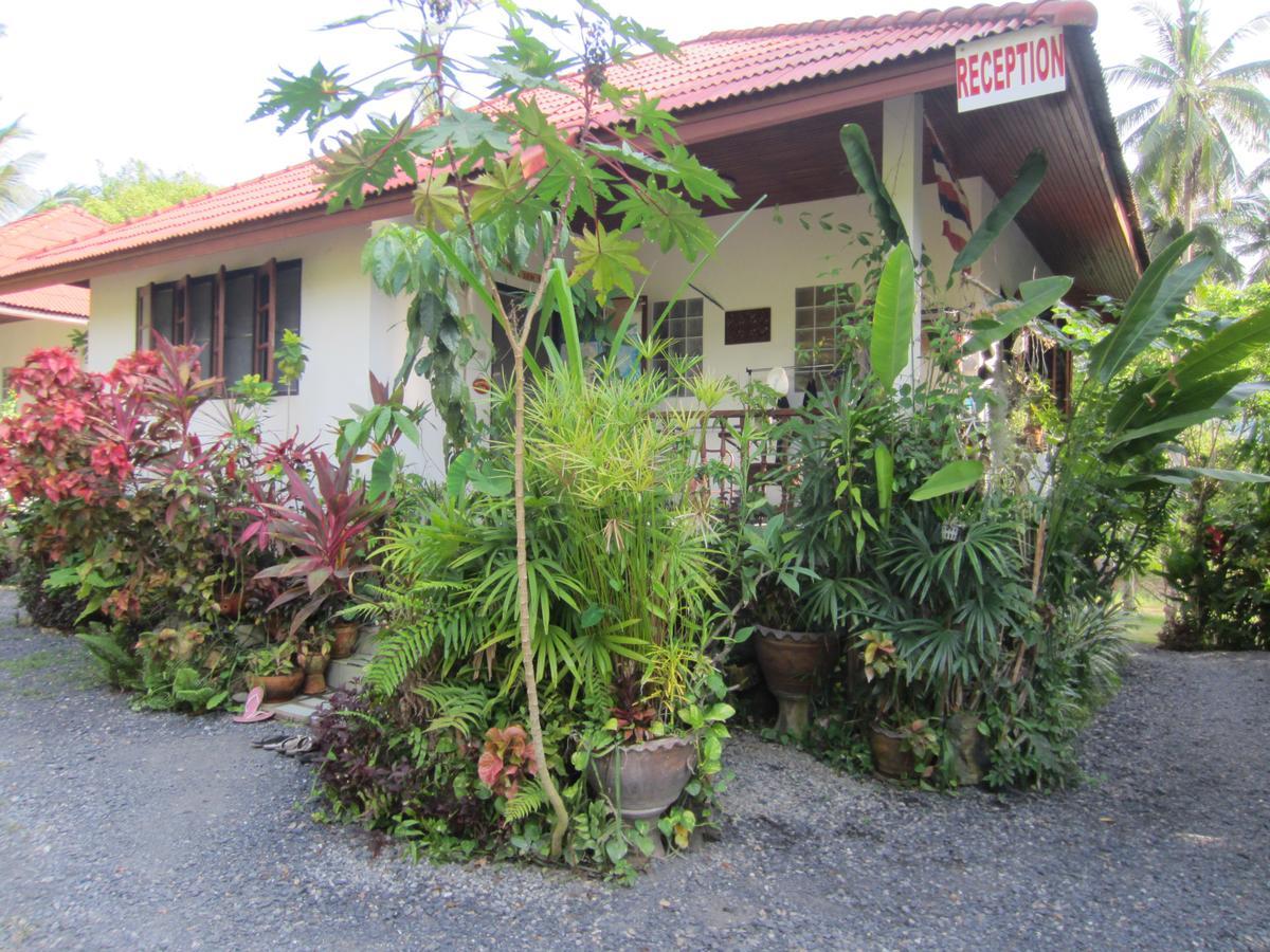 Big Trees Village Eco Friendly Resort *
